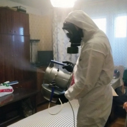 Дезинфекция от клопов в Ивангороде