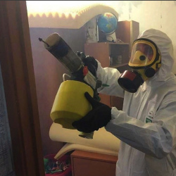 Уничтожение клопов в квартире. Ивангород